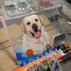 Hand-Painted Pet Glass Portraits