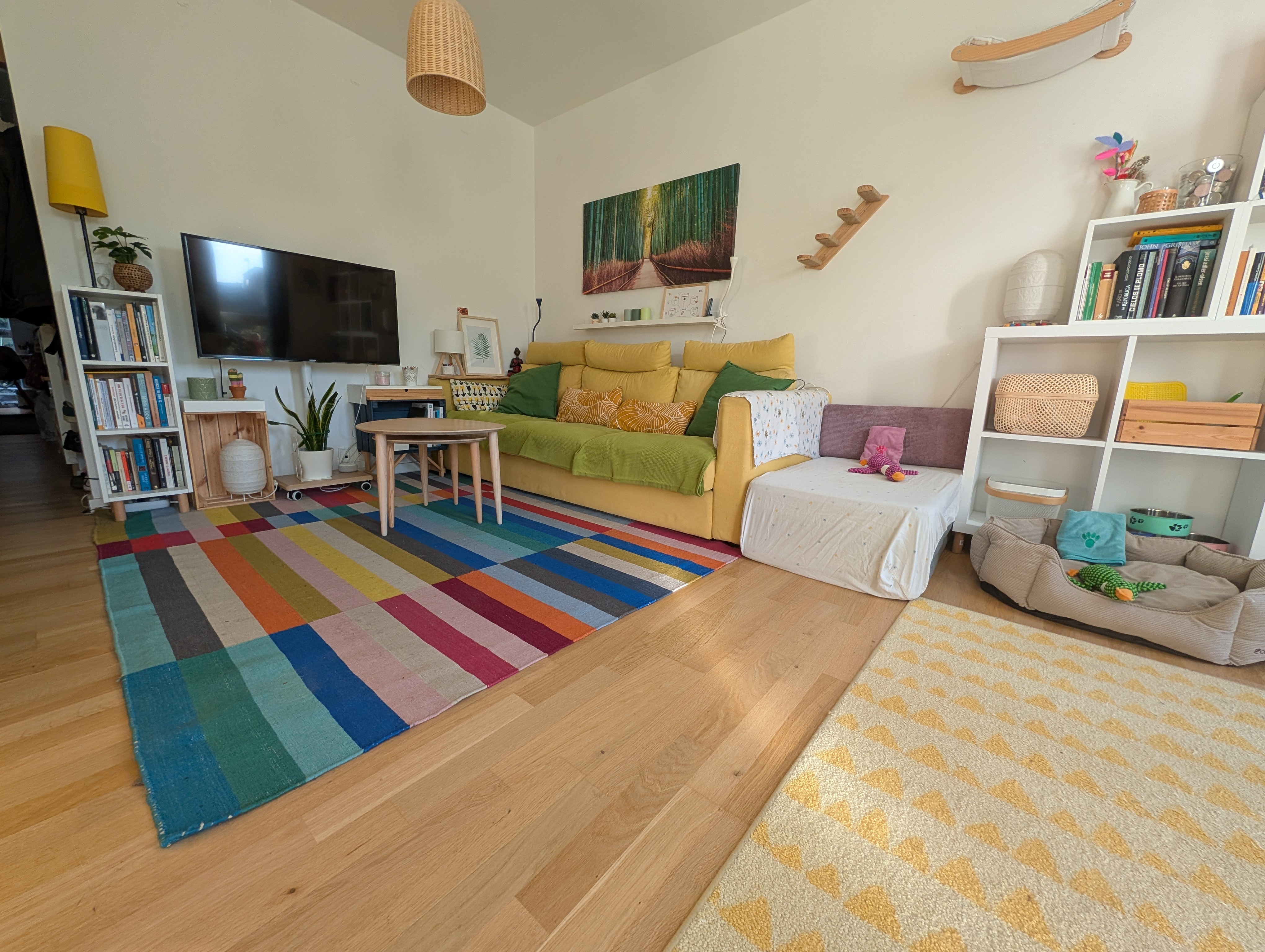 Living room space for the dogs