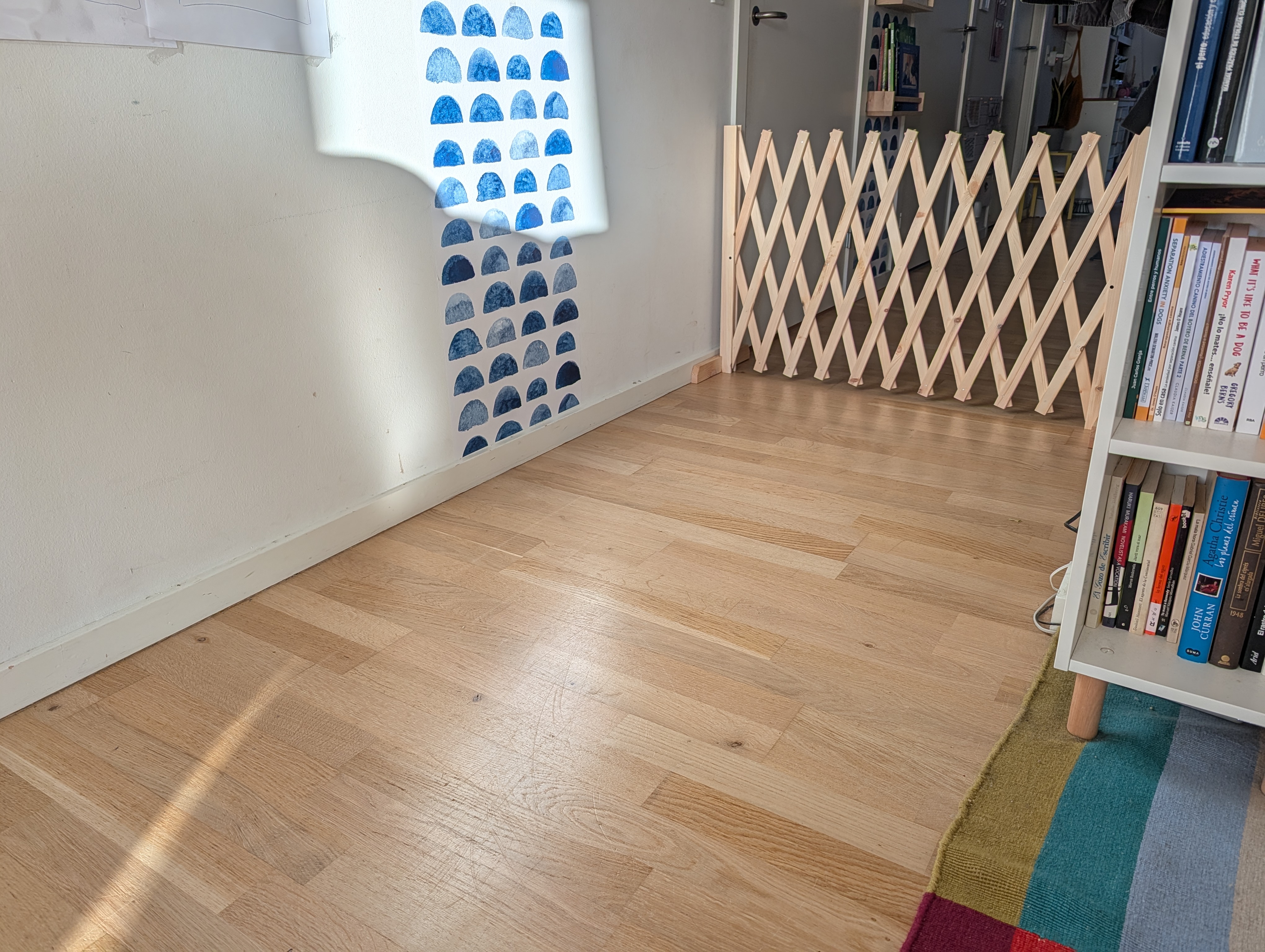 Indoor dog fence